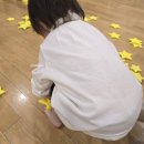 시아하우스 1호 | 외출왕 17개월 아기, 아쿠아리움과 트니트니