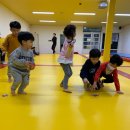 탑(TOP)태권도 체육관 이미지