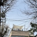 금해 복집 | [구기동 카페] 카페 비비 | 애견 동반 루프탑 카페