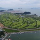 웅동시장 이미지