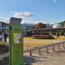 국립중앙과학관 버스정류장 | 대전 유성구 여행 어린이 관람 추천 카이스트 국립중앙과학관