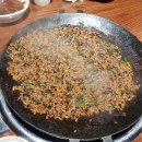 오늘도 쭈꾸미 이미지