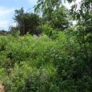 고덕면010 이미지