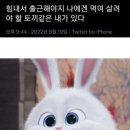 애드웰컴
