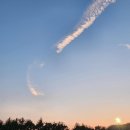 한림용인 이미지