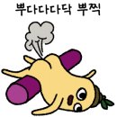 댕댕구역 이미지
