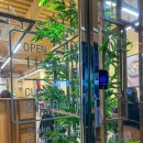 본죽(영등 제일점) | 익산 영등동 맛집 일본식 솥밥 소옽