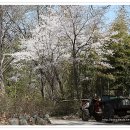 용안경로당 이미지