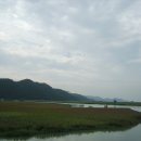 순천만 갈대밭 이미지