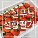 산지직송 신선함 그대로 배송오는 소설푸드 설향딸기 후기👍