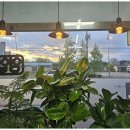 강릉홍제 공인중개사사무소 | 강릉전세 강릉 믿음가부동산, 신뢰의 바람을 타고