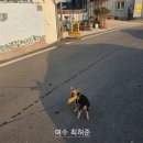 낭도제일포차