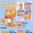 라이언 PC 이미지