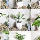 영전농장 이미지