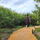 서윤의숲길 이미지