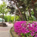 백마공원 이미지