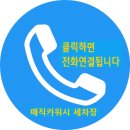 이태리세차 이미지