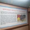 부곡식당횟집 이미지