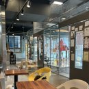 고양이카페38.5 이미지