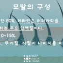 스칼프디자인센터 광주점 이미지