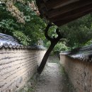 경주 세심마을(독락당,정혜사지13층석탑,옥산서원),양동마을,동강서원,첨성대