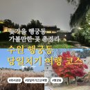 경기도 수원시 팔달구 수원천로 | 수원 행궁동 당일치기 여행 코스 추천 | 늦가을 억새·성곽길 가볼만한 곳 총정리