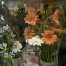 예림화원 이미지