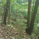 고향산천농장 이미지