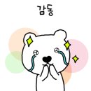 뽀송 애견미용 이미지