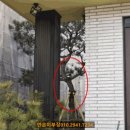 이안 주유소 네이버블로그