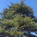 벽진초등학교 이미지