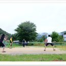 금관절경 이미지