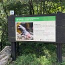 폭포산장펜션 | 충북 괴산 가볼만한곳 쌍곡계곡 물놀이 / 쌍곡폭포산장 펜션 내돈내산 숙박 바베큐 이용후기