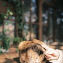 온실슈퍼