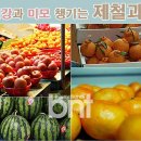탱탱과일