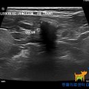 Dr.dog동물의료센터 이미지