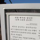 나무여행 이미지