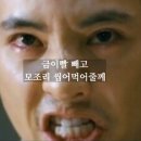초원도야지