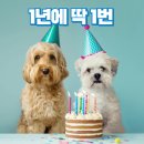 아이사랑동물병원 건강검진센터 이미지