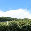 밤비니펜션 이미지