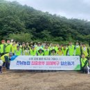 금산인삼농업협동조합 이미지