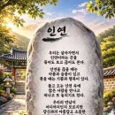 아름다울미 네이버블로그