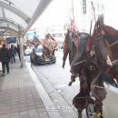 건어물시장 이미지