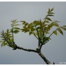 여주-0978 네이버블로그