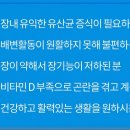 (주)에스와이인터네셔널