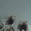 유니온어린이집 | 버버리 유니온 스니커즈 뒤꿈치 안감교체, 갑보수선, 세탁 사례