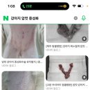 신월동물병원 이미지