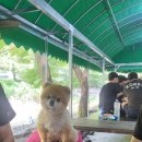 물좋은집