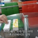 엘골인 바이오 이미지