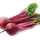 창업 아이디어 더하기 : 비트(Beet)... 종류, 활용, 영양 이미지